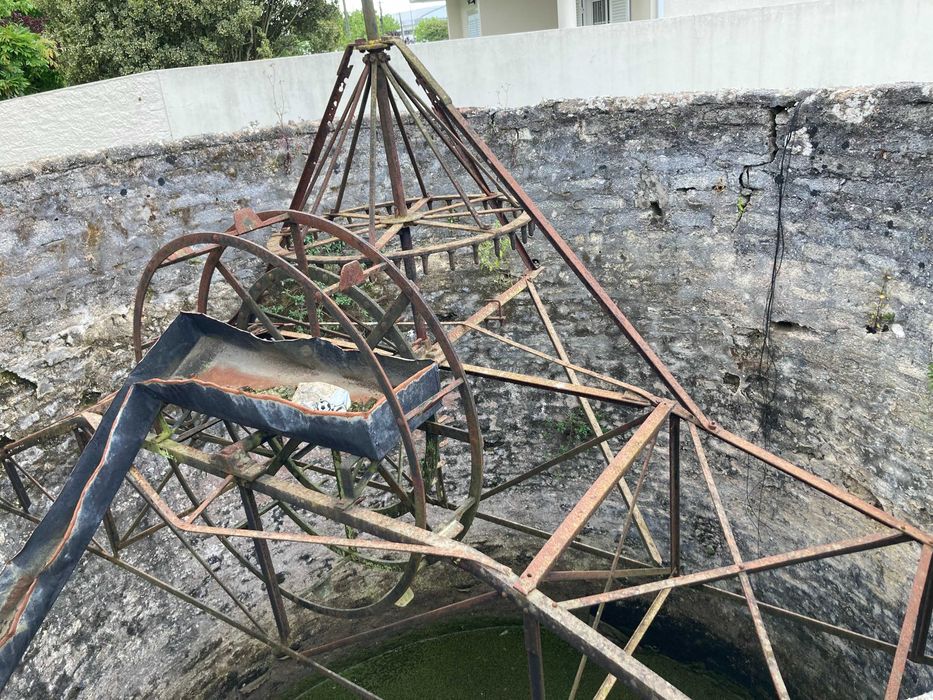 Nora -  Engenho Agua Poço