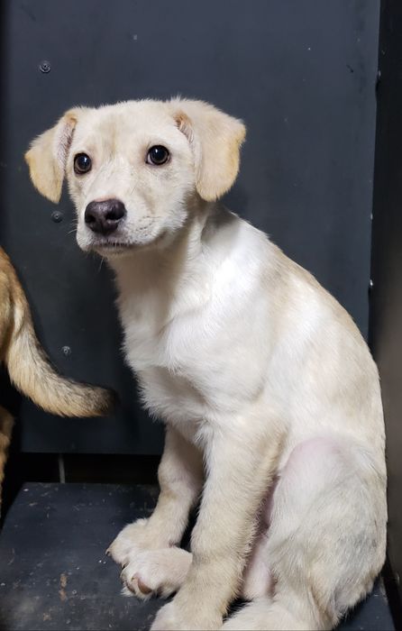 Малышка в хорошие ручки!