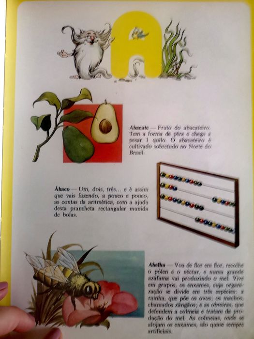 Enciclopédia infantil ilustrada