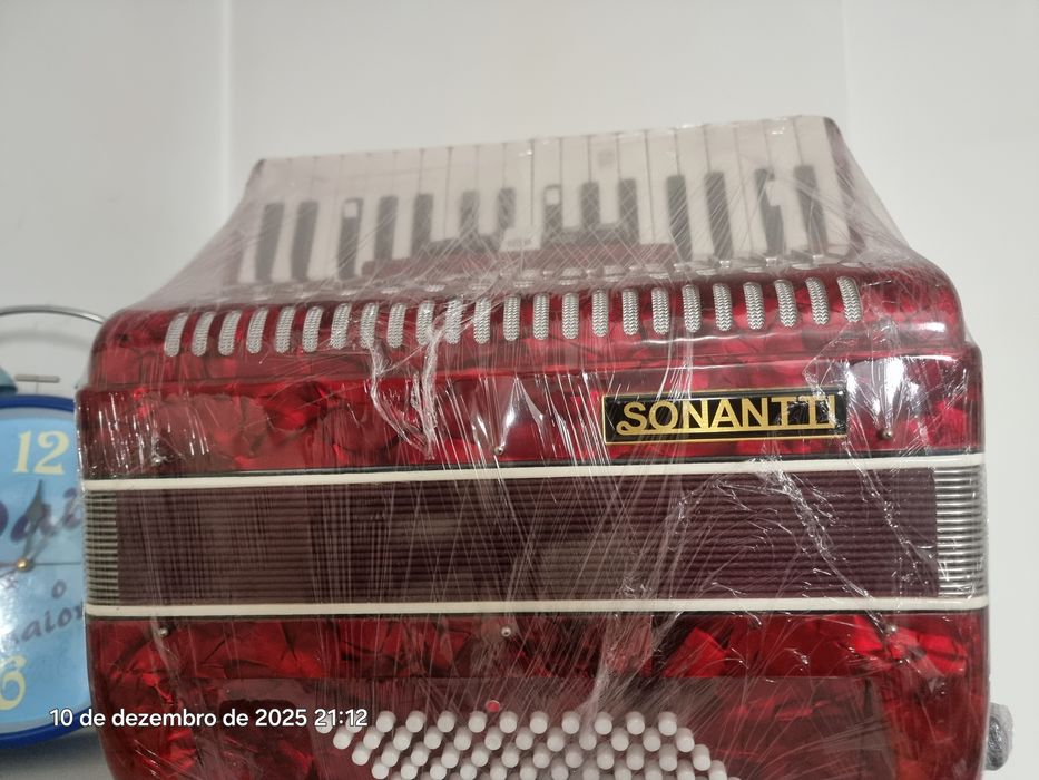 Acordeon instrumento musical