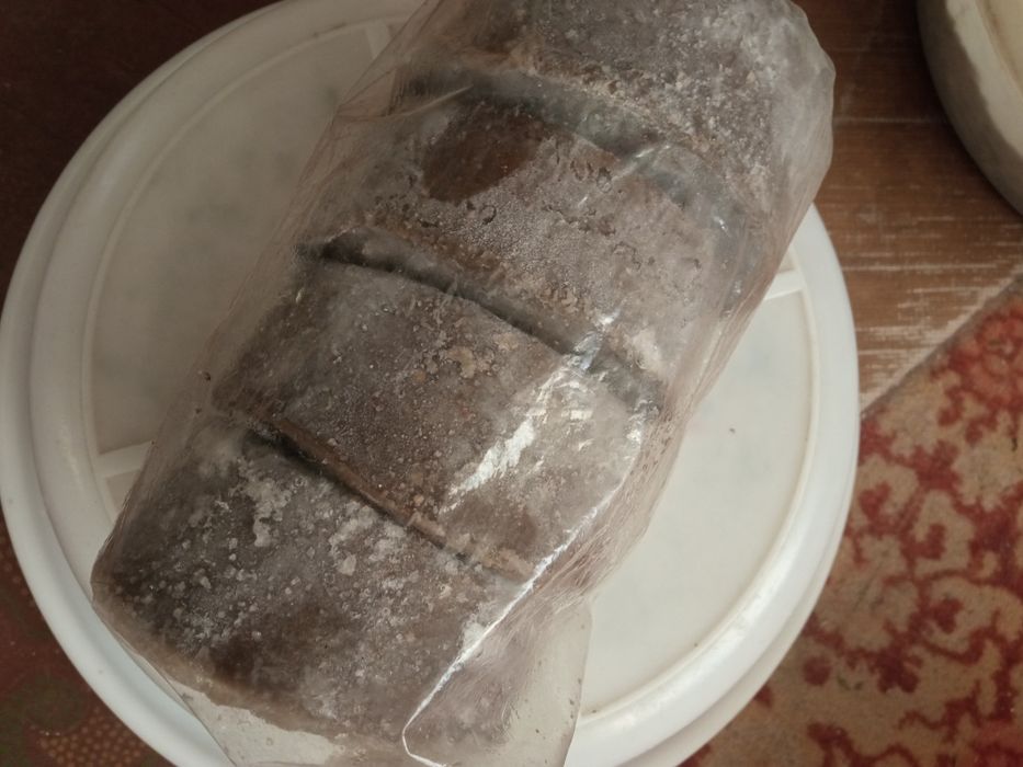 Продам циклопа 250