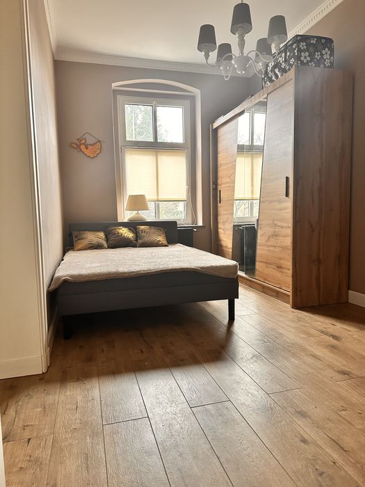 Meble/lampy/telewizor/lodowka i pralka