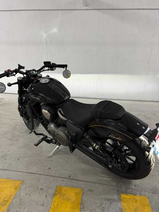 Mota chinchilla 500