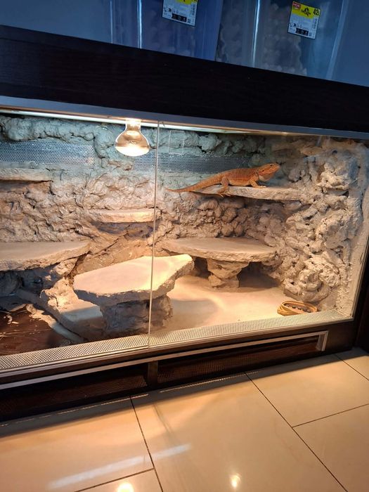 Terrarium 120x60x60