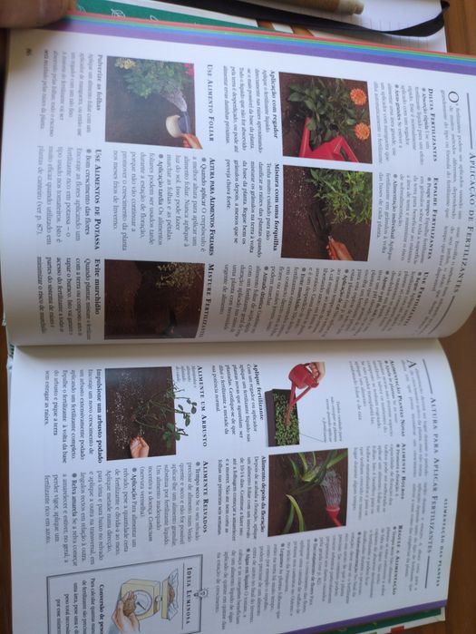 Jardinagem Conselhos e Sugestões de Pippa Greenwood