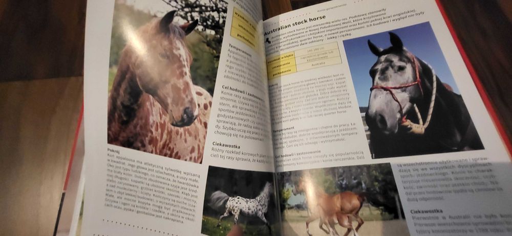 Konie. Biblioteka wiedzy.