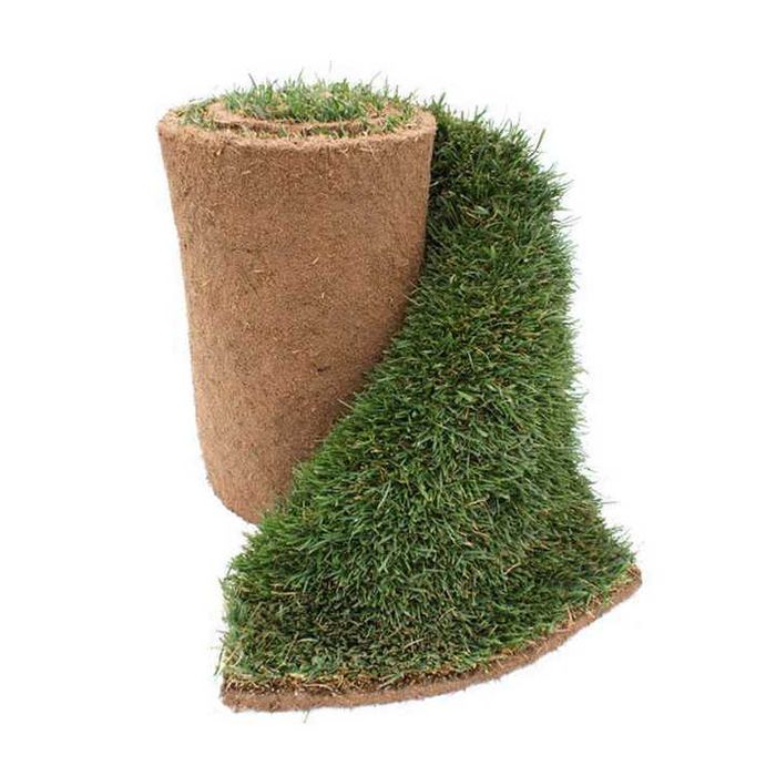 Tapete de Relva Natural (Aplicação)