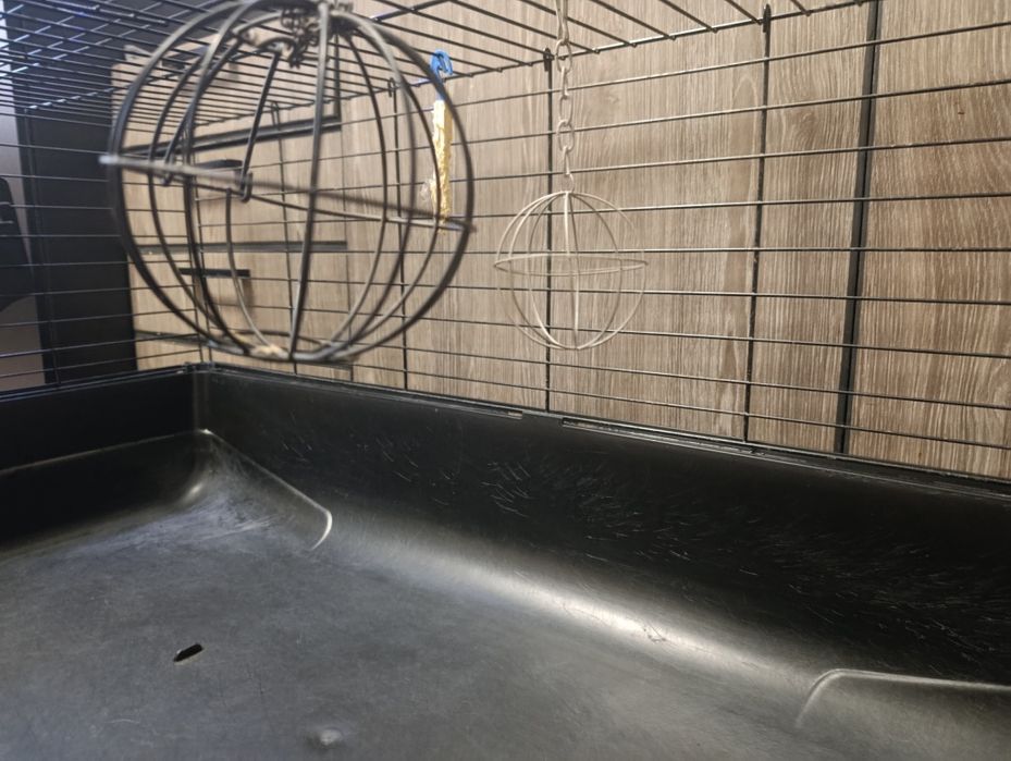 Клітка для кроликів