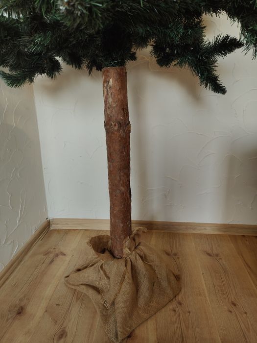 Choinka na pniu  210 cm