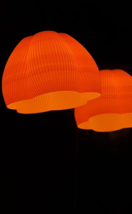 Абажур ,, Квіткова тінь ,,