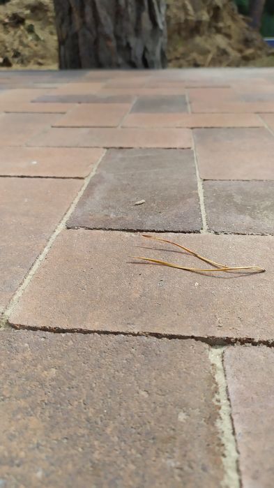 Укладання тротуарної плитки