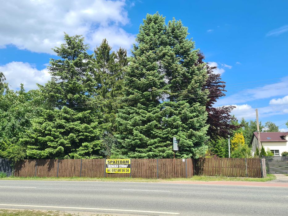 Urokliwa działka budowlana z WZ | Bukowiec, gm. Brójce (1284 m²) - Widok 3