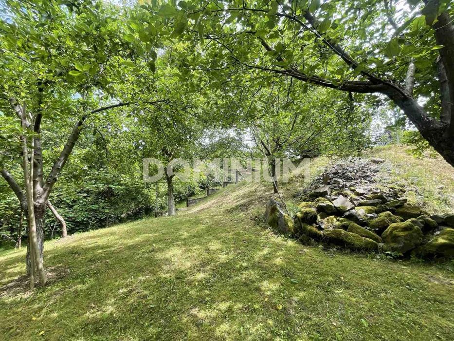 Продається земельна ділянка в місті Хуст