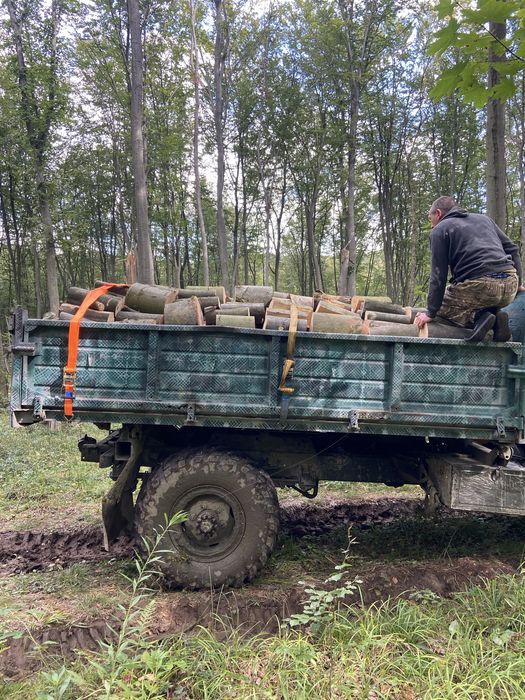 бук граб тверда порода дрова