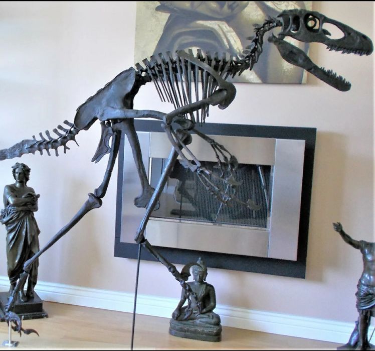 Fóssil de Raptor Deinonychus Velociraptor Utahraptor Esqueleto