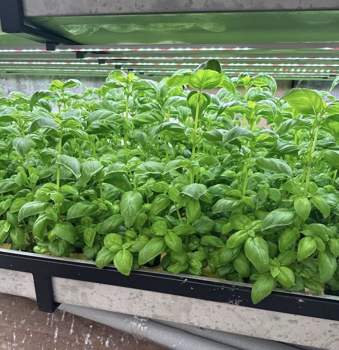 Продається бізнес міні-агроферма