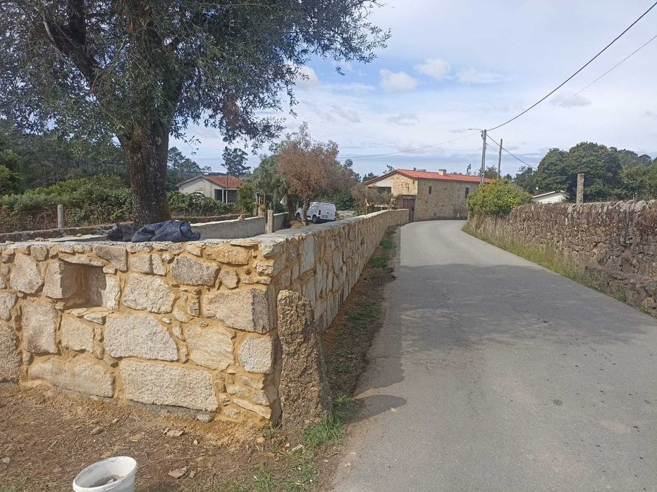 DMonteiro:trabalhos como limpezas florestais,escavação,demolição,muros