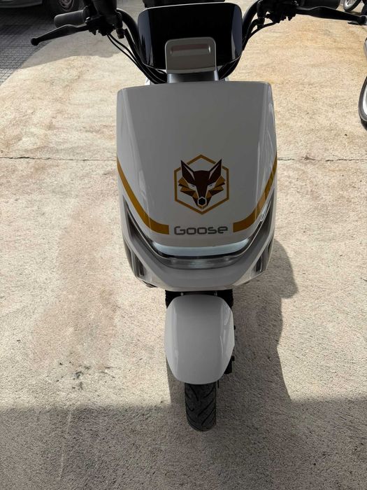 Mota Eletrica Fox Goose
