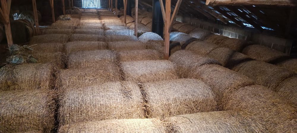 Sprzedam suchą słomę , jęczmień