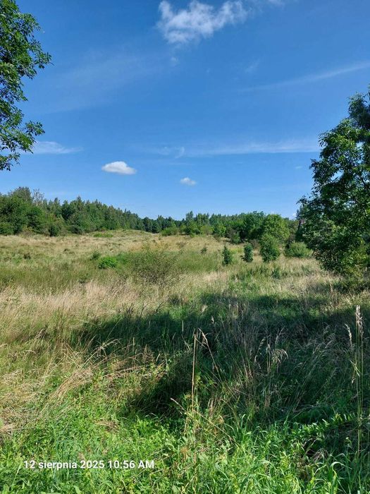 Leleszki, działka rolna