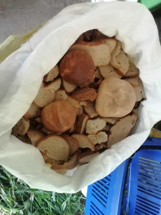 Suche pieczywo - chleb, bułki i tp.