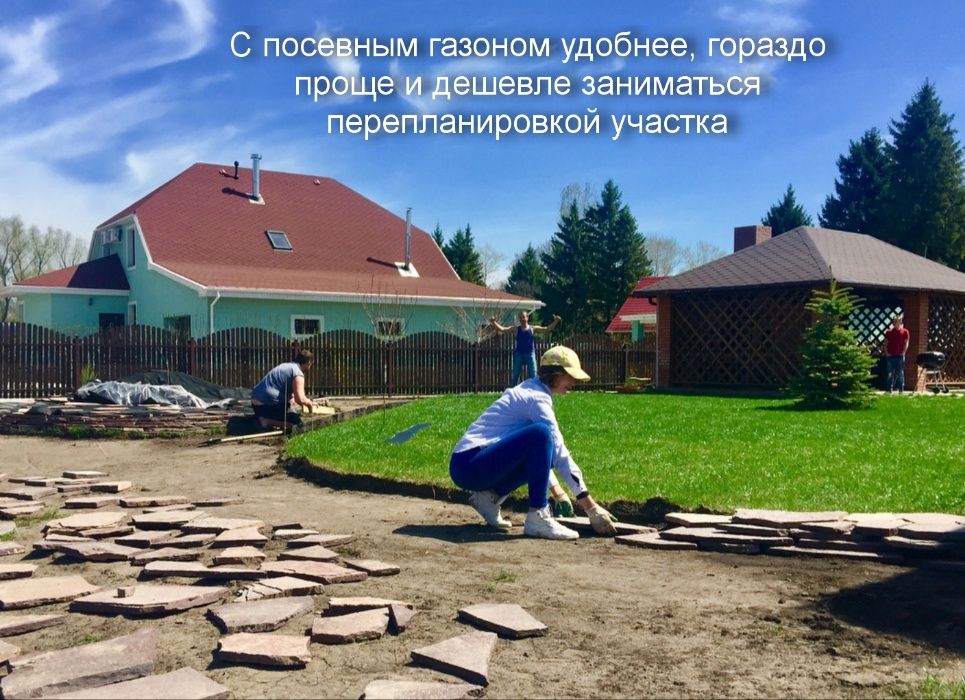 1кг газонная трава универсальная для озеленения насіння супер якість ...