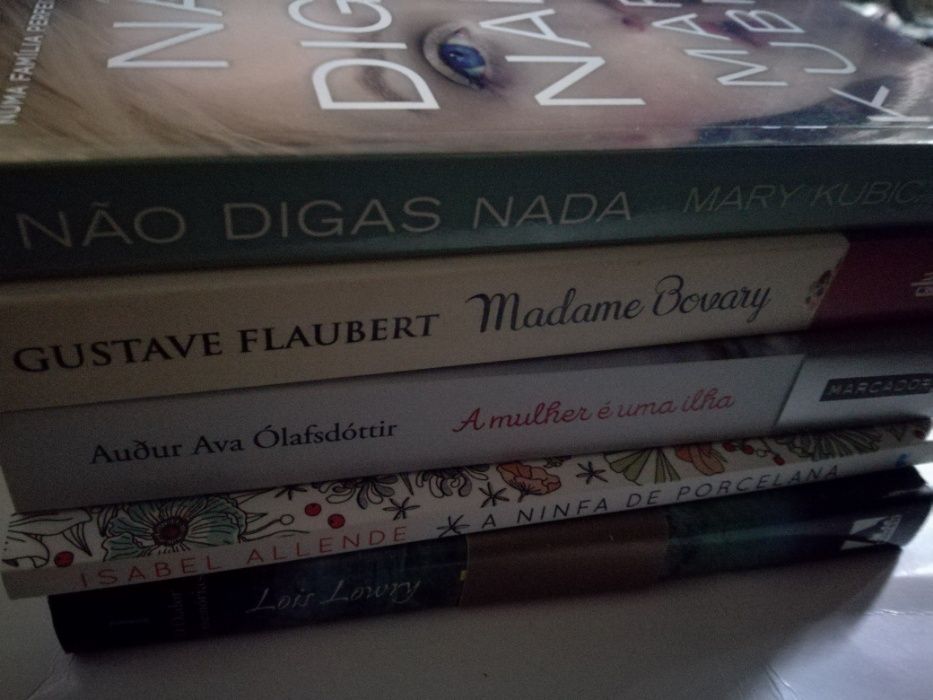 Mary Kubica, Gustave Flaubert,Audur Olafsdóttir, Isabel Allende, Lois