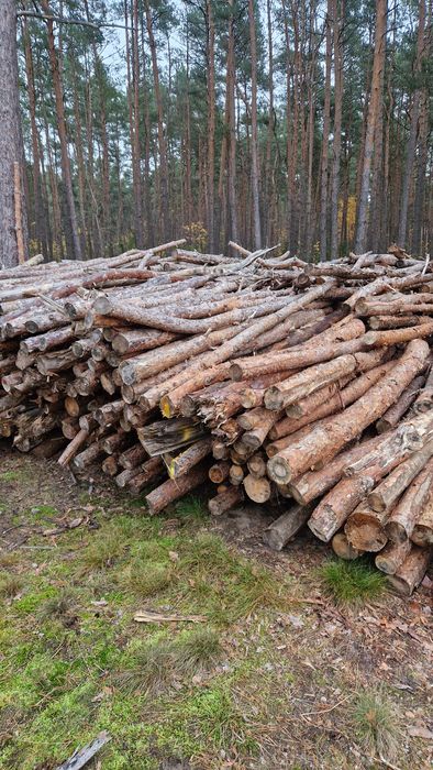 Sprzedam drewno opałowe