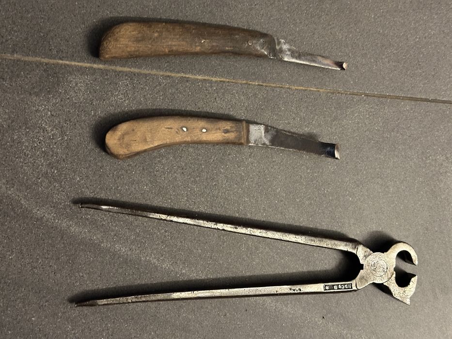 Zestaw do kopyt konskich