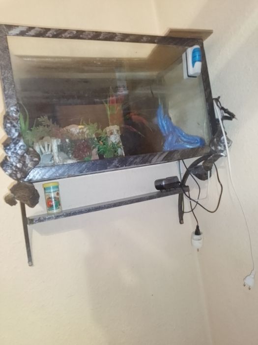 Акваріум великий