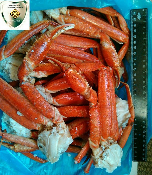 ЖИВЫЕ и вареные ЛОБСТЕРЫ/ОМАРЫ, Крабы королевские,Атлантические,Арктич