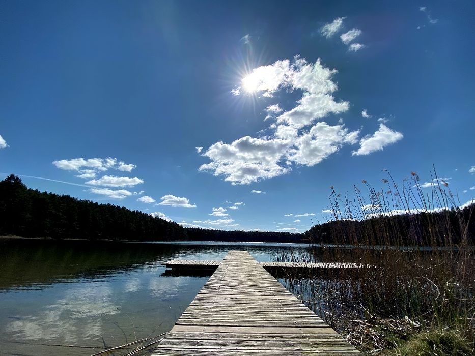 Domki w sam las. Domek Bory Tucholskie nad jeziorem