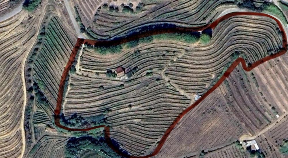Quinta com vinha, casa e adega – Baião (próxima do Douro)