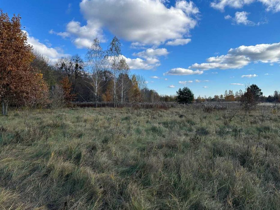 Продаж  ділянки 38,36сот.(25 сот під забудову+13,36ОСГ)Почепин.ID:732