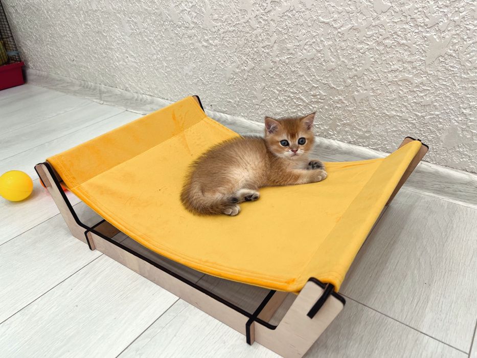 Лежанка-гамак для котов. Новинка!