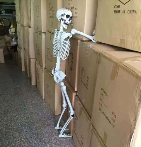 Скелет людини. Кістки. Череп. Декор. Реквізит. Фігурка Муляж Анатомія Прикол