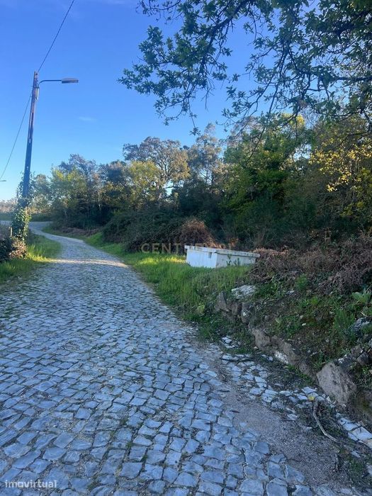 Plot of Land Measuring 12,900 m² with Unobstructed Views in Tapada – Figueiró dos Vinhos