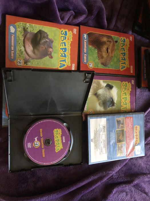 Двд диски для детей 24 шт. Звери животные