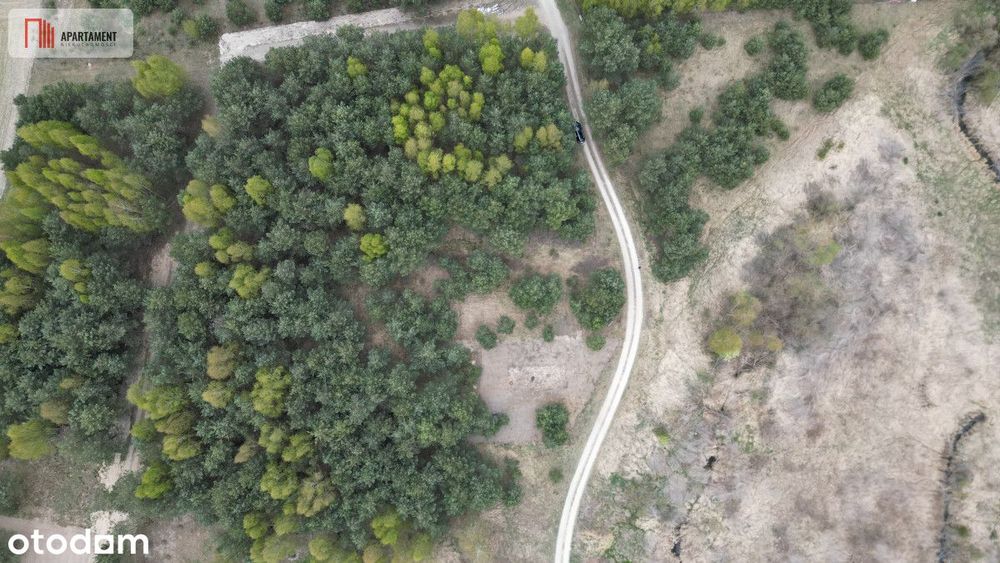 Bory Tucholskie – działka 1195 mkw pod budowę domu