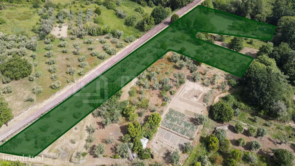 Terreno Agrícola em Canelas