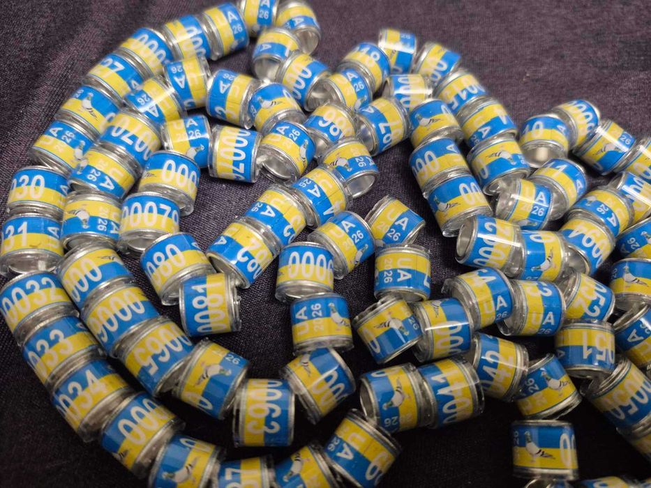 Кільця для голубів  Україна 2026 рік