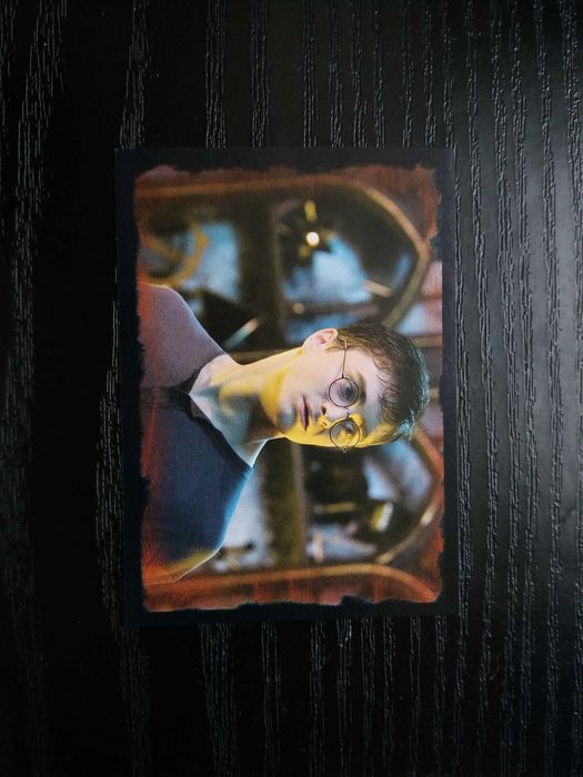 Naklejka Harry Potter do albumu Panini Harry Potter i Zakon Feniksa