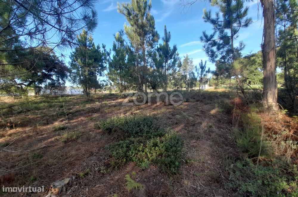 Terreno Rustico