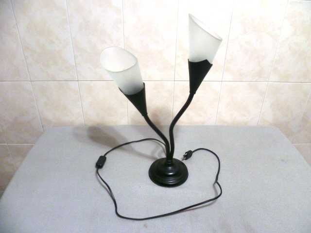 Metal and Frosted Glass Lamp - Art Deco–Style Botanical Shape