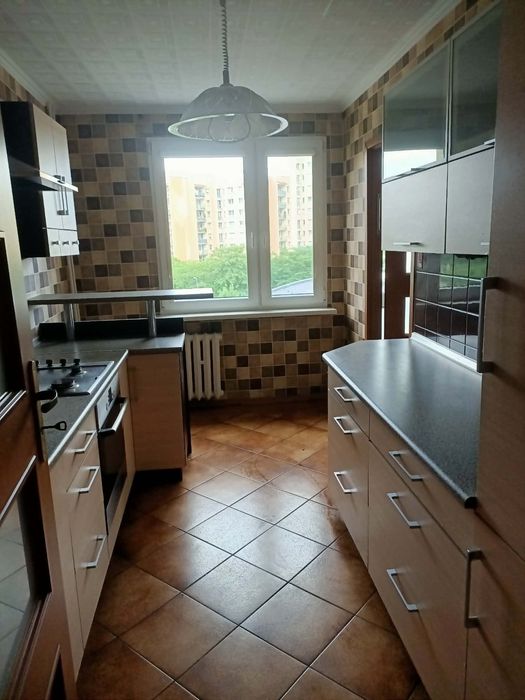 Mieszkanie – Wrocław, Żerniki - Widok 4