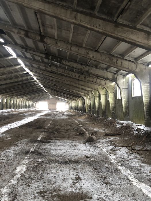 Клюшечник, зерносклад, ангар.