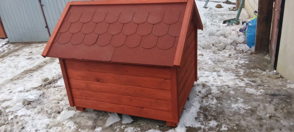 Buda dla dużego psa