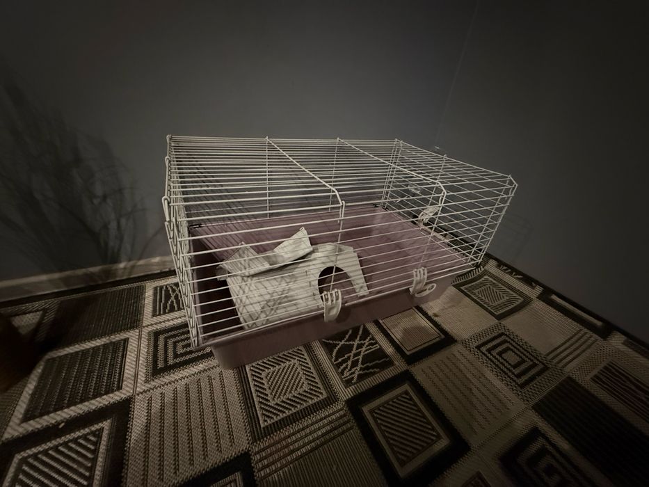 Клітка для гризунів +ПОДАРУНКИ ПО МІСТУ ЗНИЖКА 300 гривень