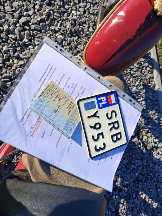 Komar sztywniak 1968