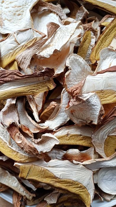 borowik szlachetny suszony